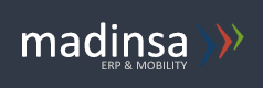 madinsa logo